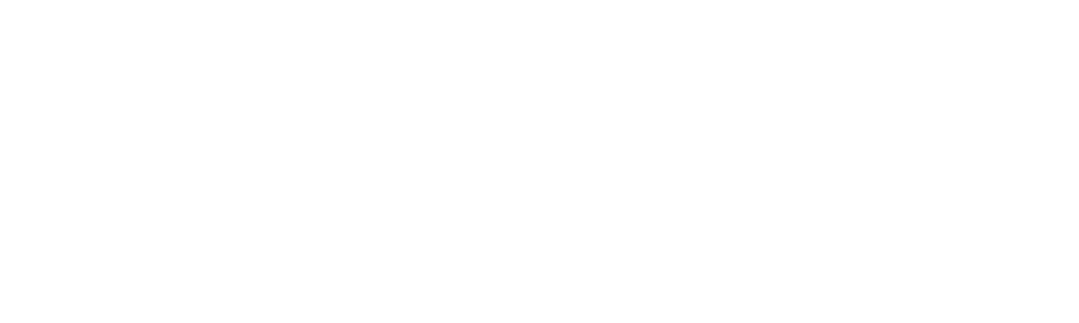 Bednarek Media
